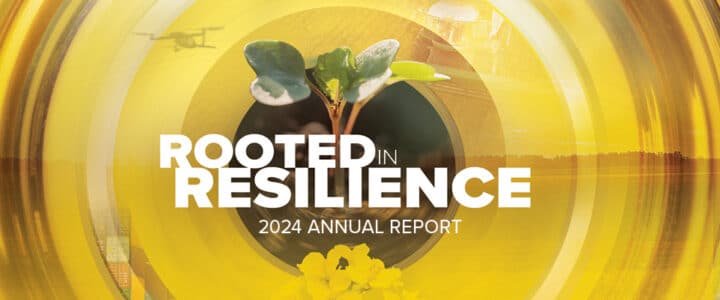 Canola Council of Canada – 2024 Annual Report – Rooted in Resilience