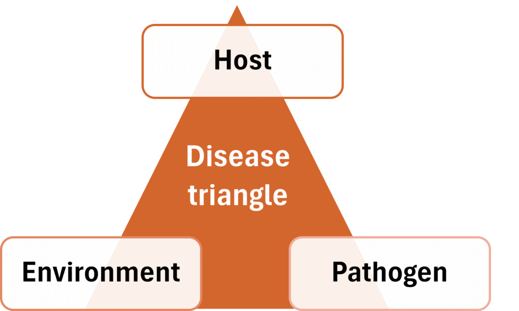 Disease triangle