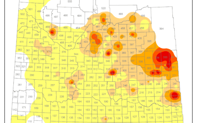 2024 Incidence of sclerotinia in canola in Saskatchewan