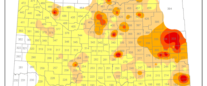 2024 Incidence of sclerotinia in canola in Saskatchewan