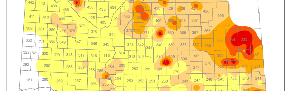 2024 Incidence of sclerotinia in canola in Saskatchewan