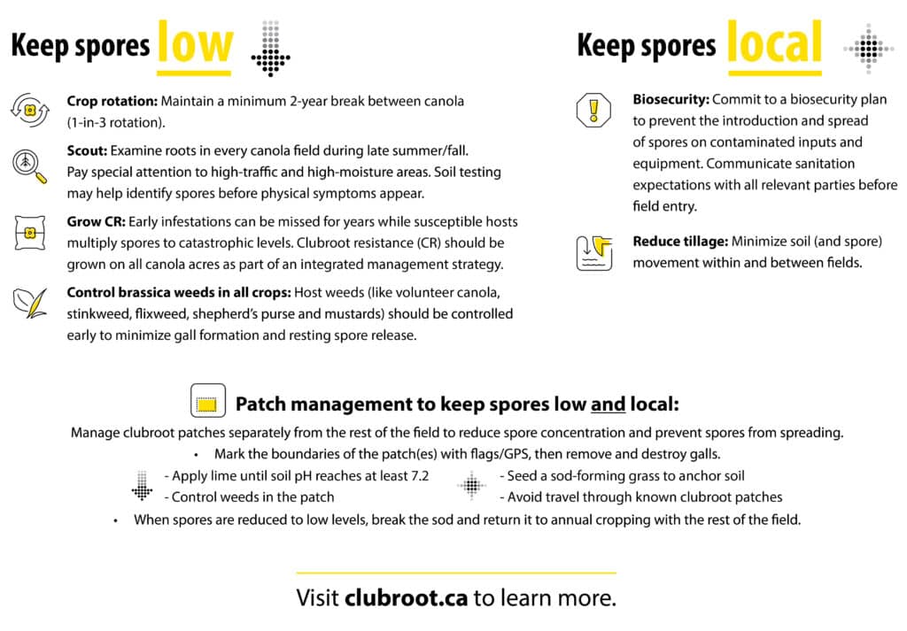 Keep spores low & local infographic