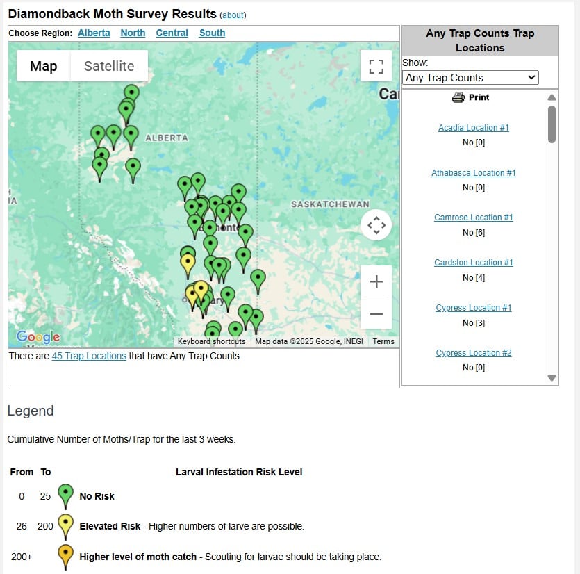 Alberta Agriculture and Irrigation's real-time diamondback moth survey results (as of June 11) and corresponding larval infestation risk level.